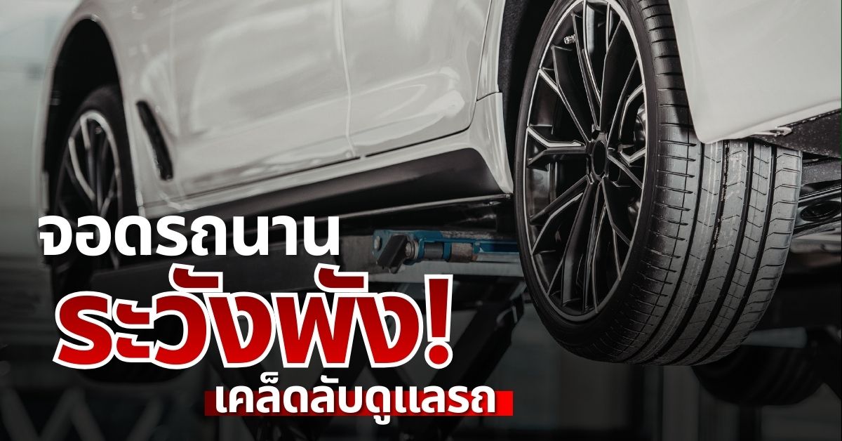 จอดรถนานระวังพัง